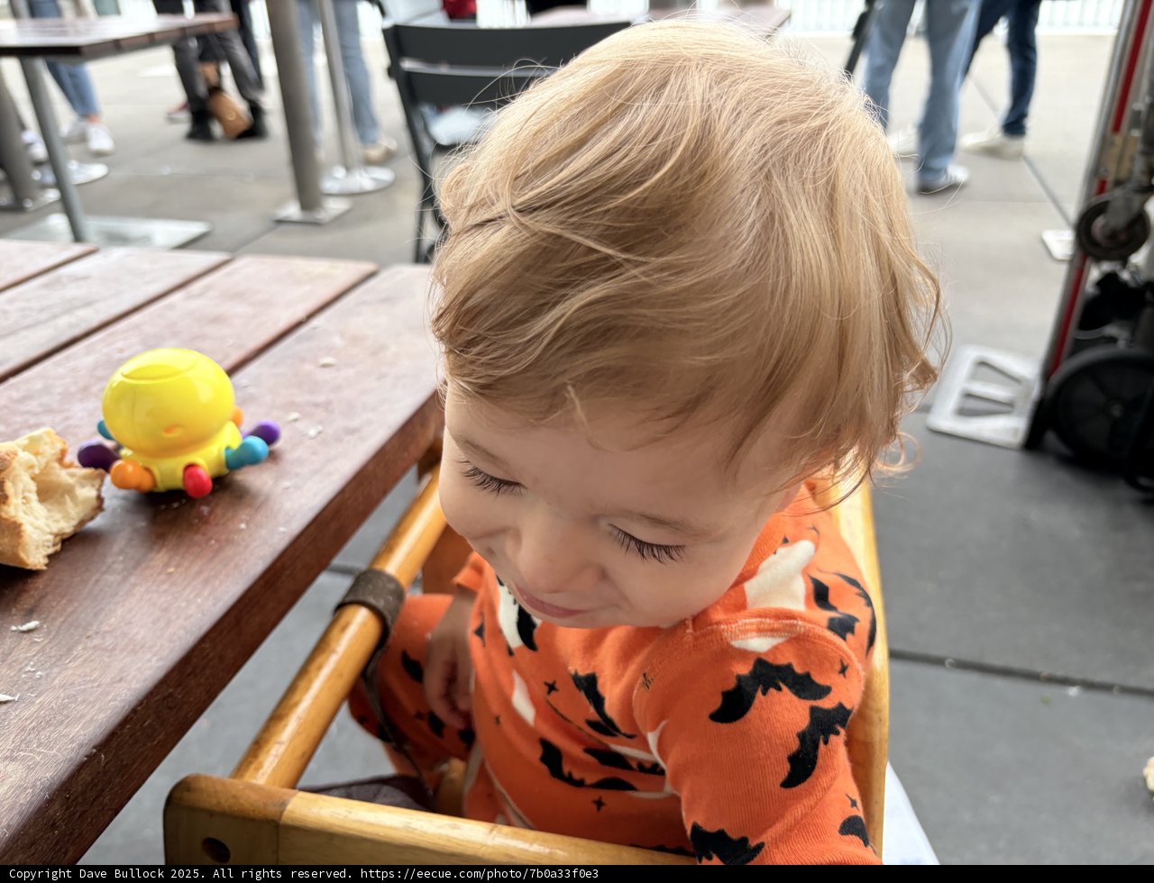 Joyful Moments at the Ferry Building