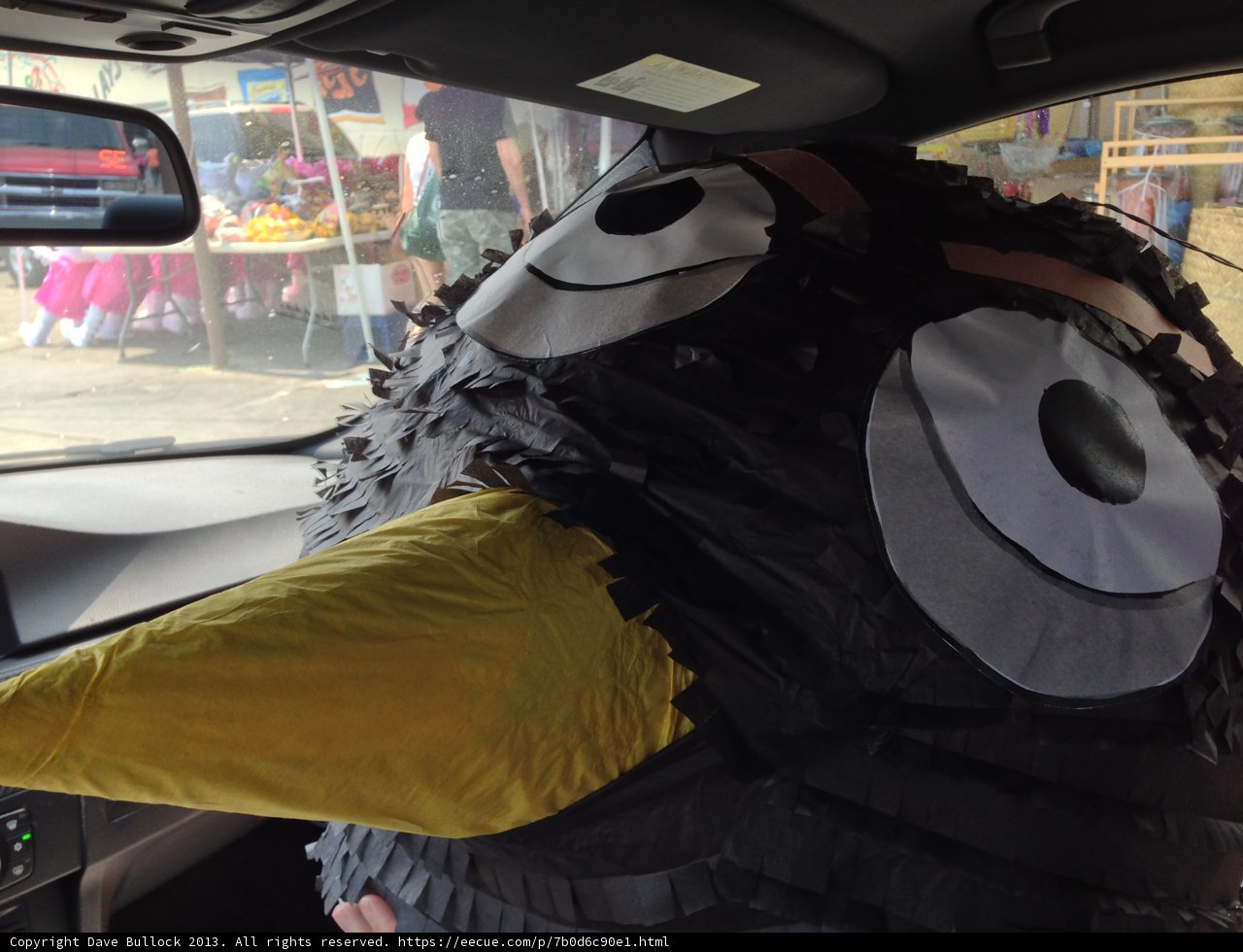 Feathered Friends on the Go