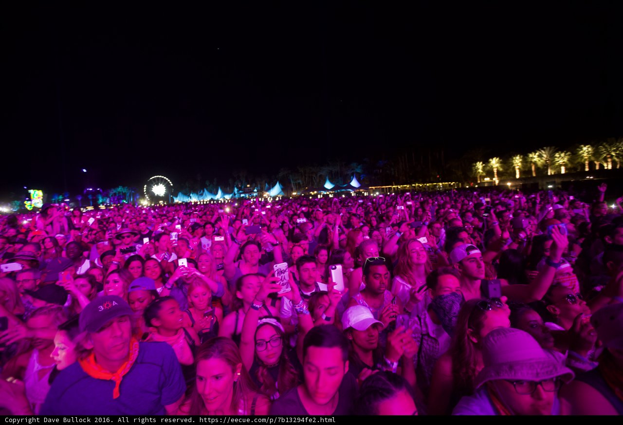 Pink Lights and a Happy Crowd at Coachella