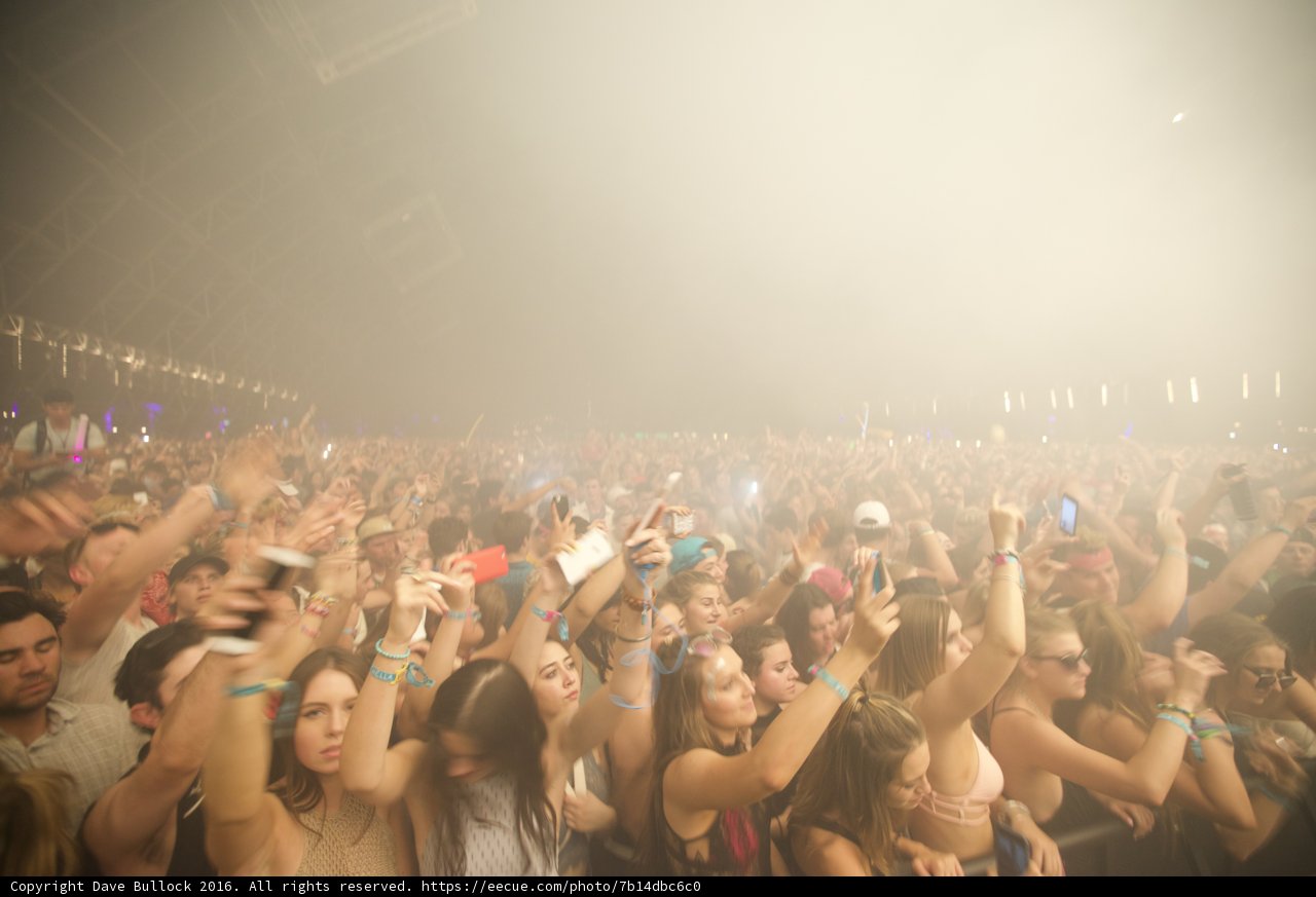 Coachella Crowd Goes Wild