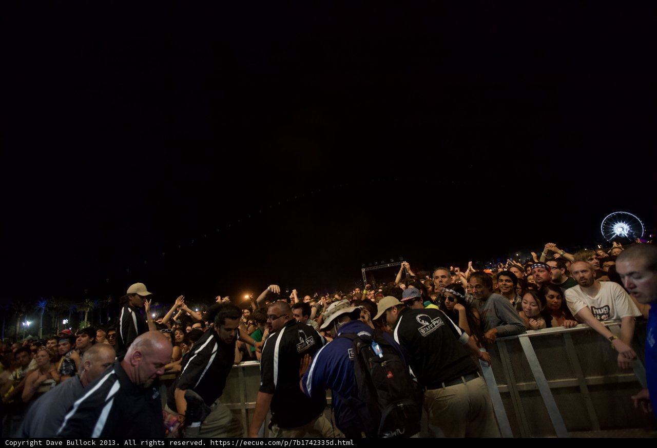 The Electric Crowd at Coachella