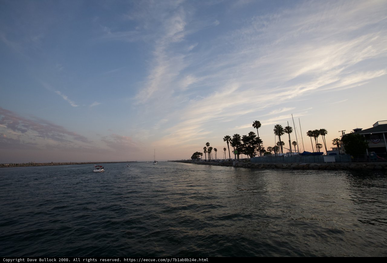 Sunset Sail by Palm Trees