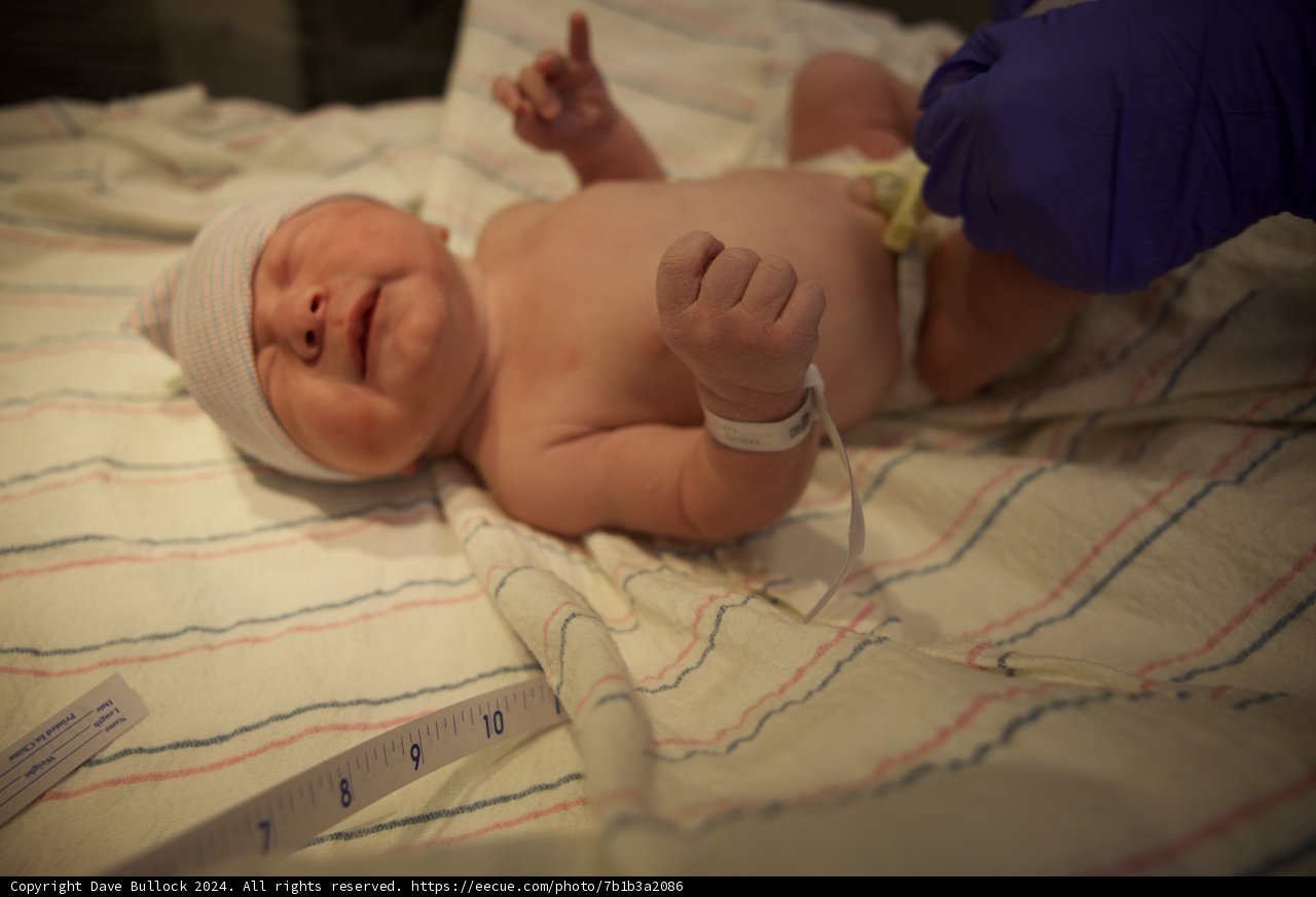 Welcome, Leland!