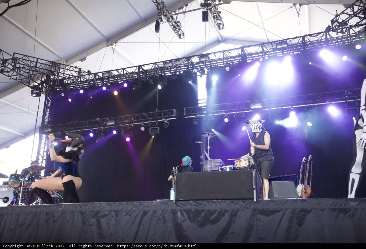 Lights, Music, and a Crowd: The Ultimate Festival Performance