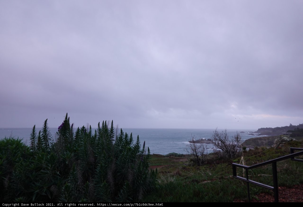A Serene View of the Ocean from the Hilltop