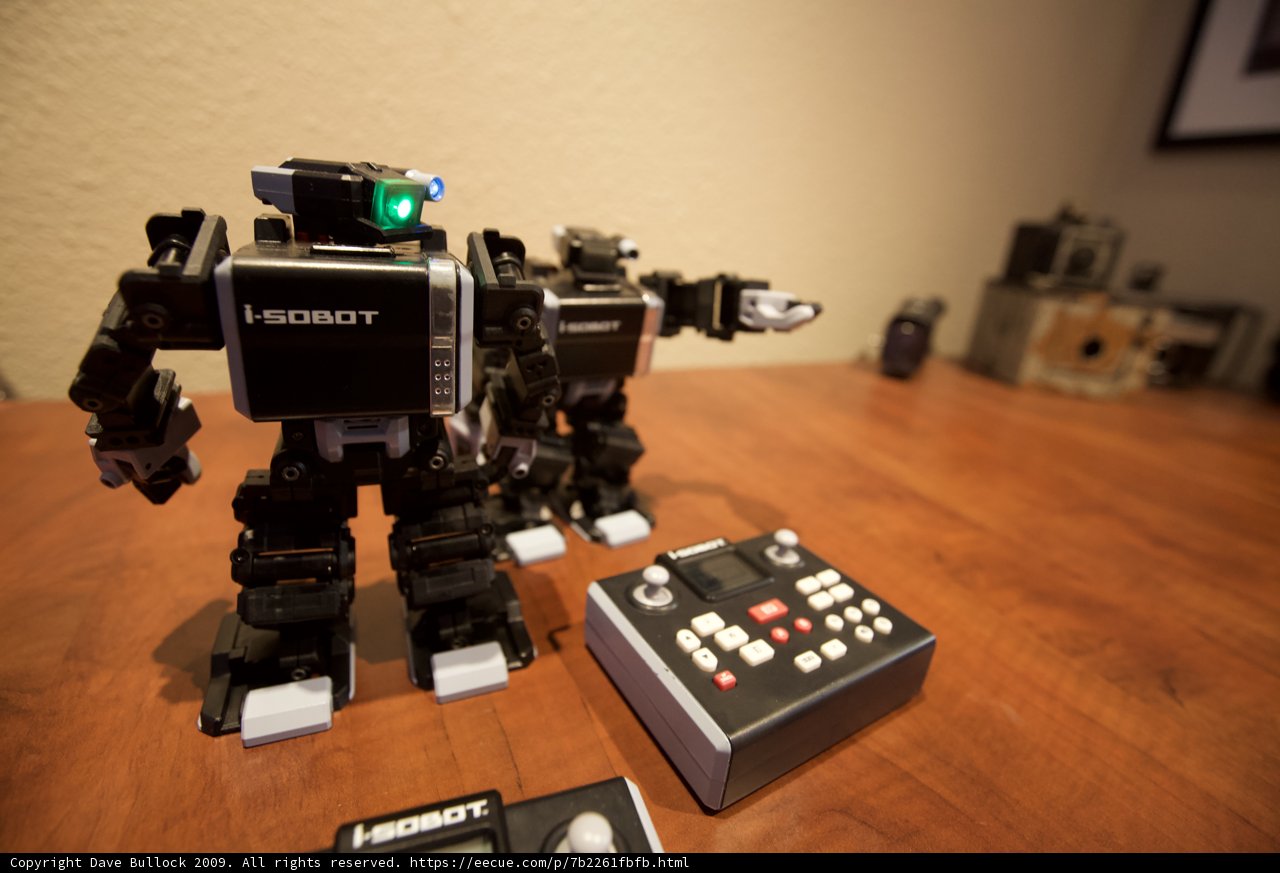 Robotic Playmates on Hardwood Flooring
