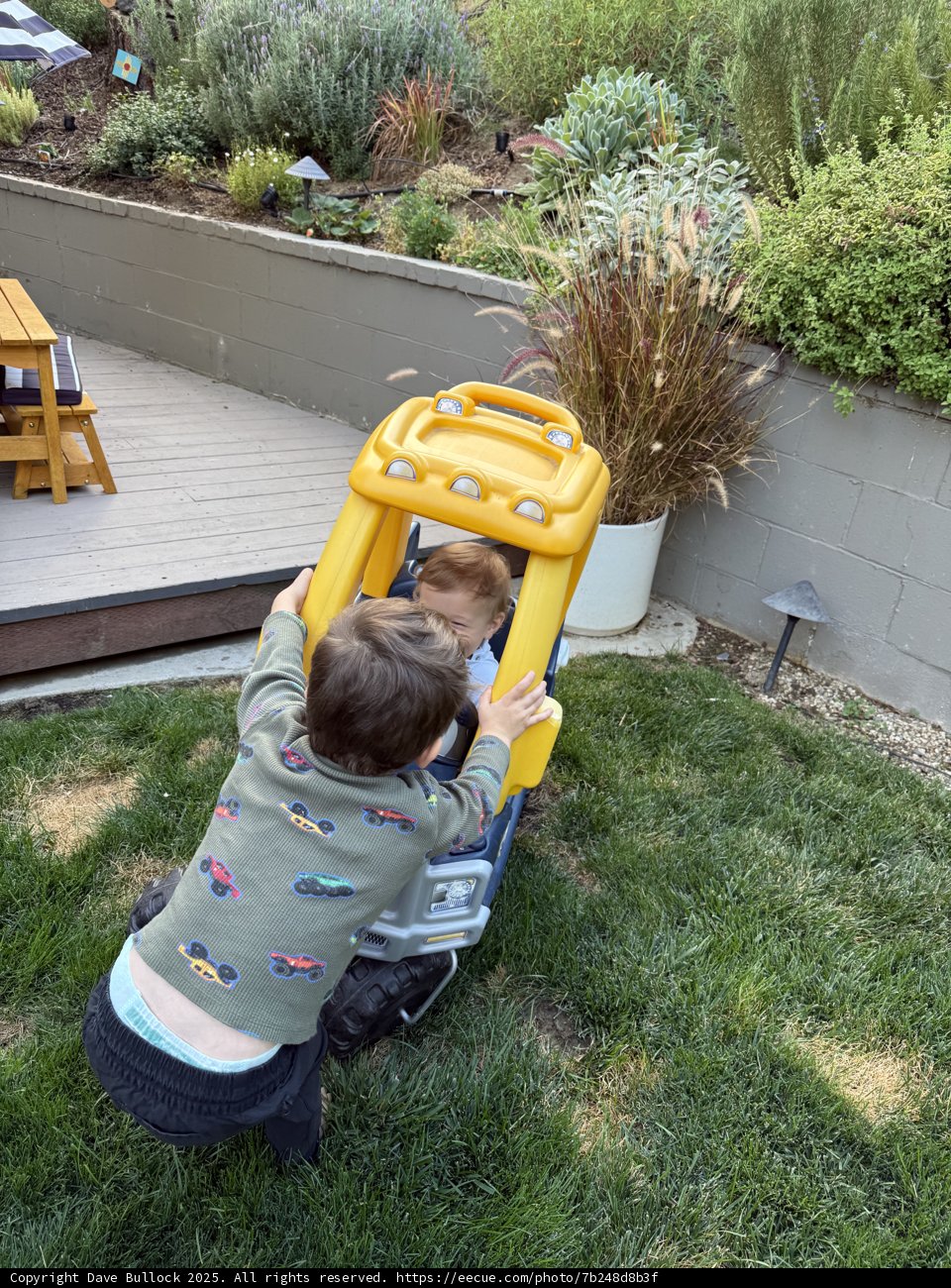 Backyard Adventures