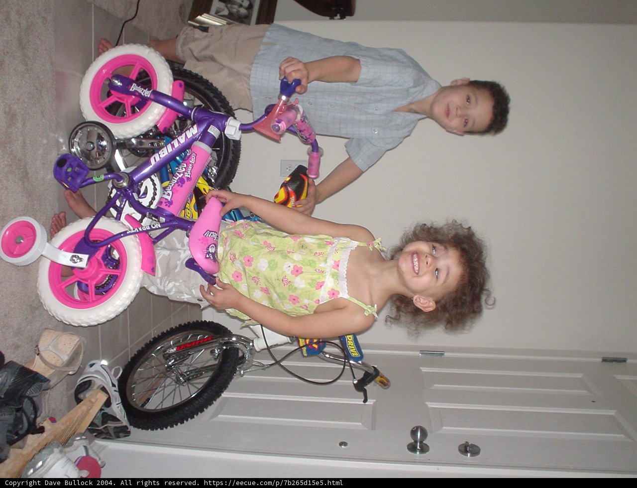 Two Babys on a Bicycle
