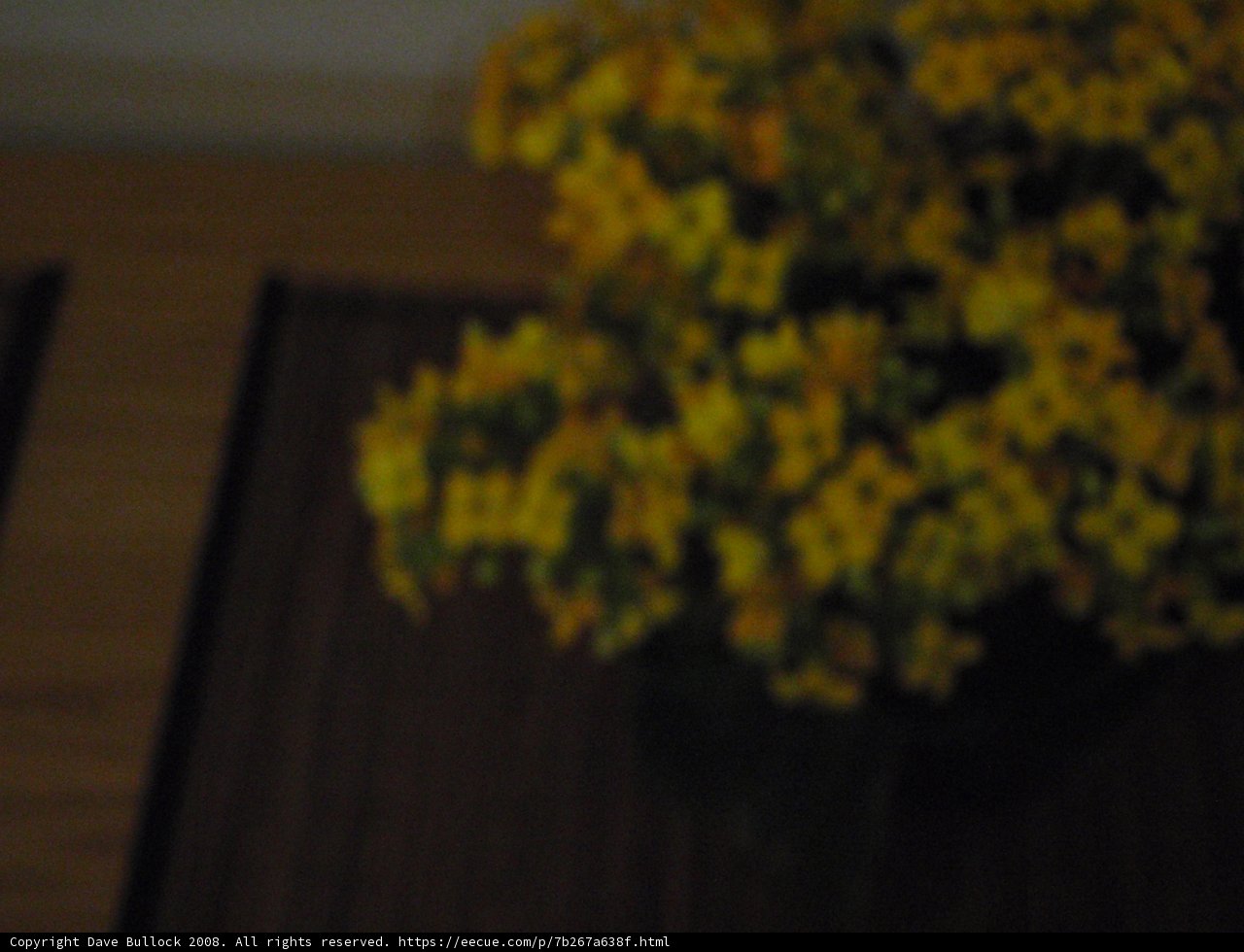 Blooming Radiance