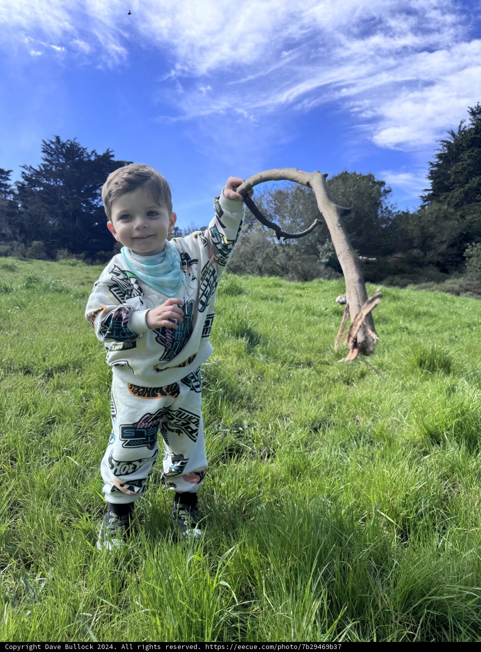 Wesley's Day Out: Embracing Nature's Simplicity
