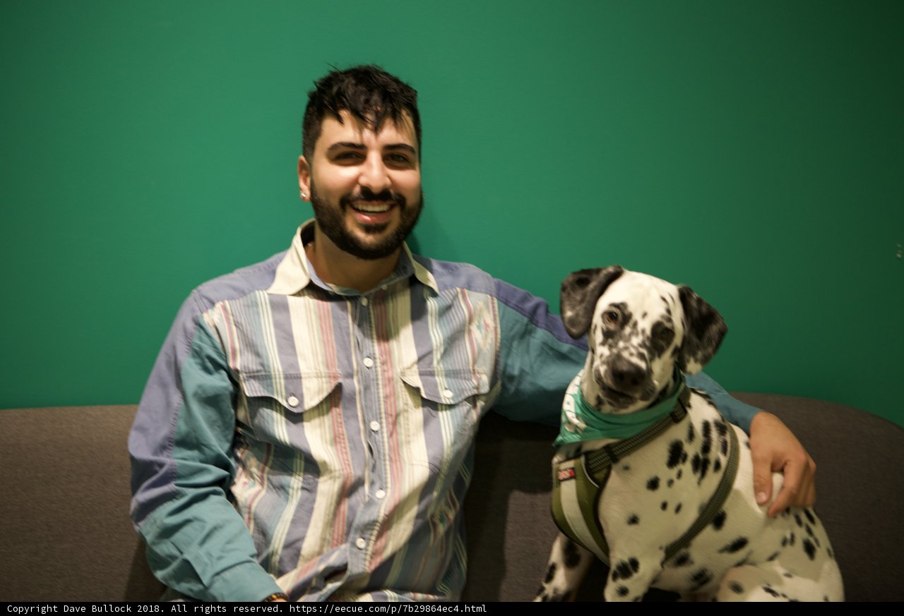 Man's Best Friend