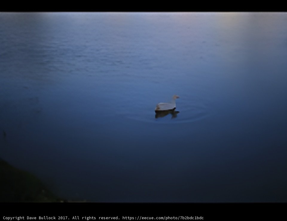 Solitude on the Lake