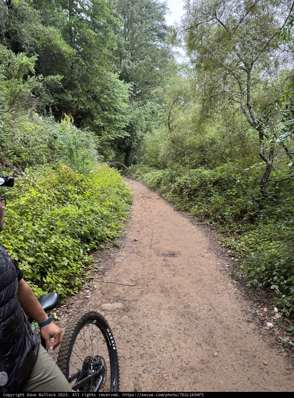 Adventure Awaits on the Redwood Trail
