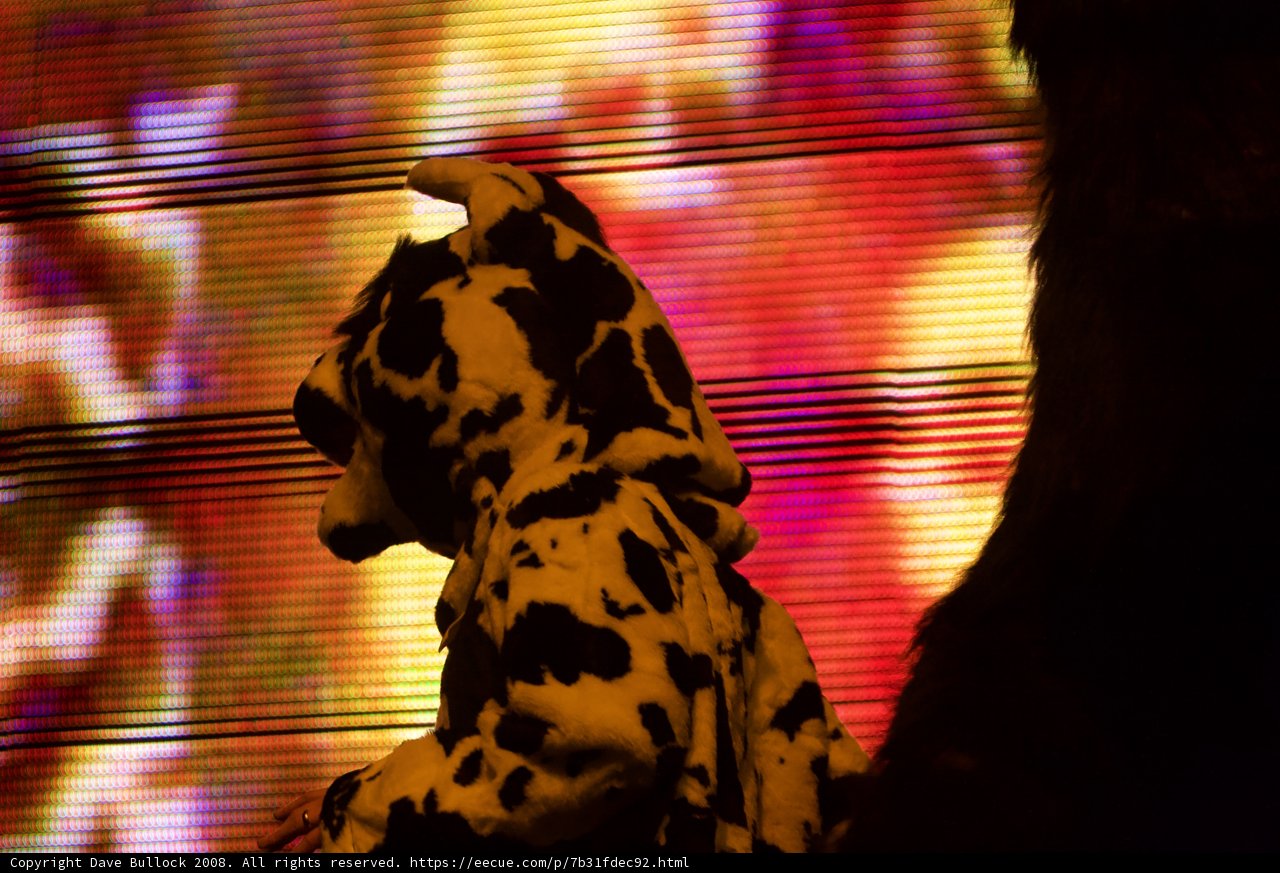 Coachella Canine Couture