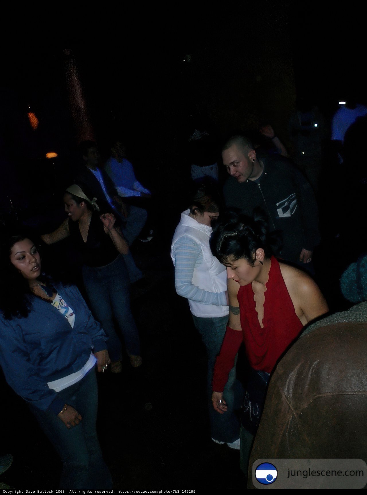 Nightclub Gathering