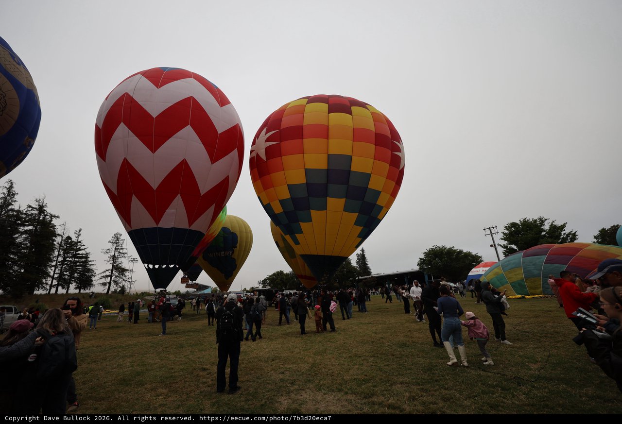 Colorful Hot Air Balloons Rise at Sonoma Classic