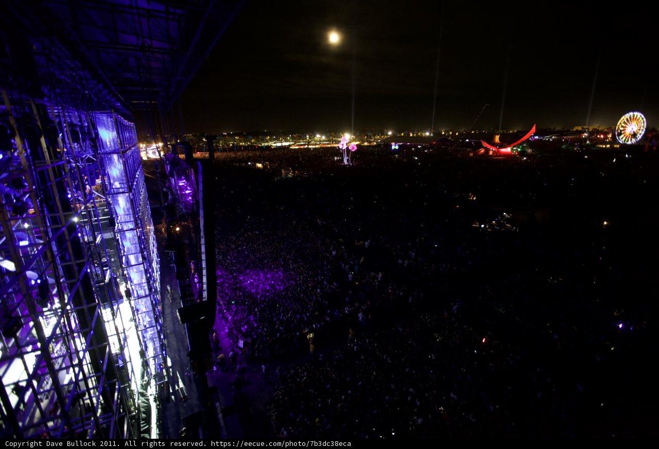 Moonlit Mayhem