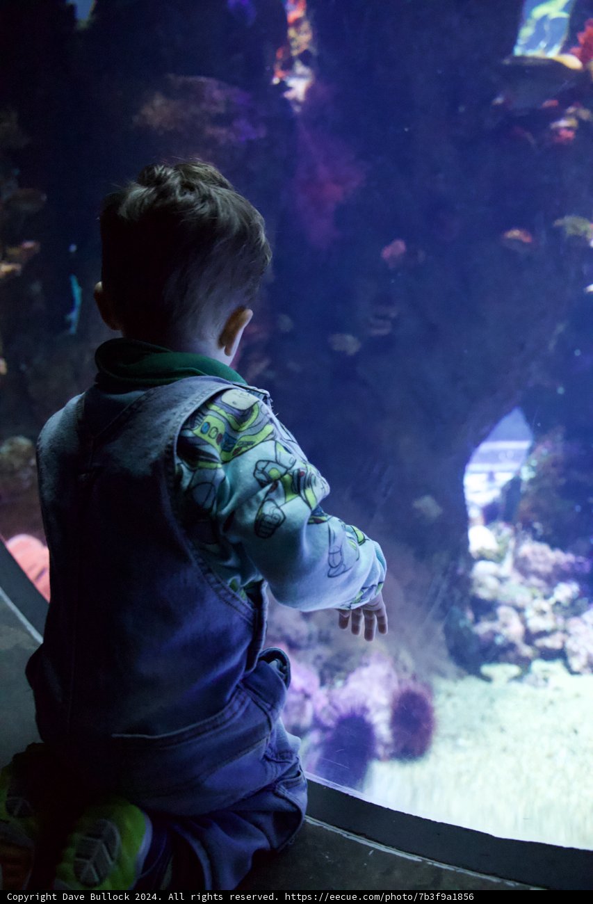 Exploring Underwater Wonders