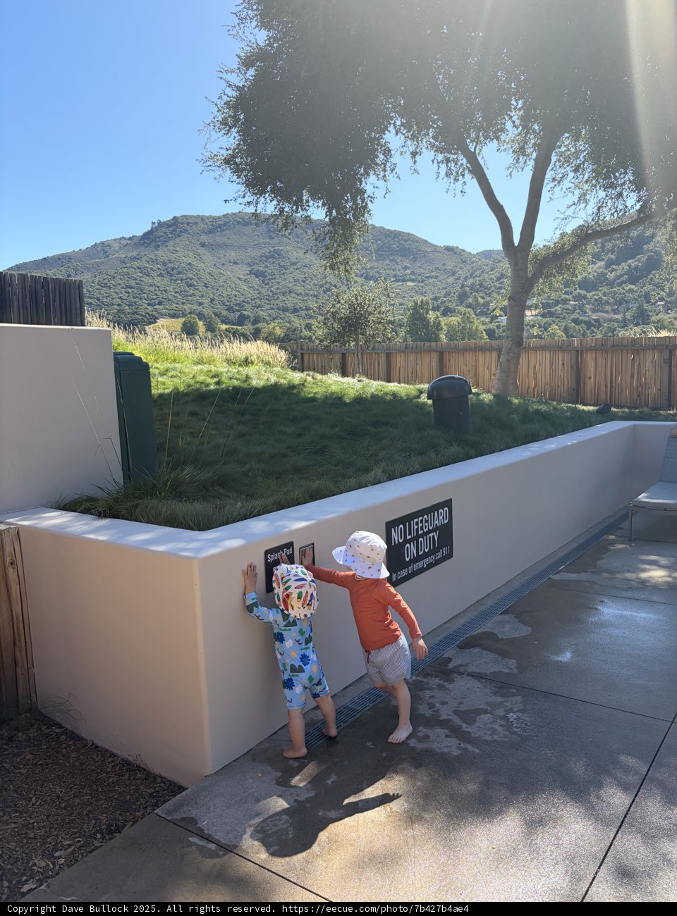Playful Explorers in Carmel