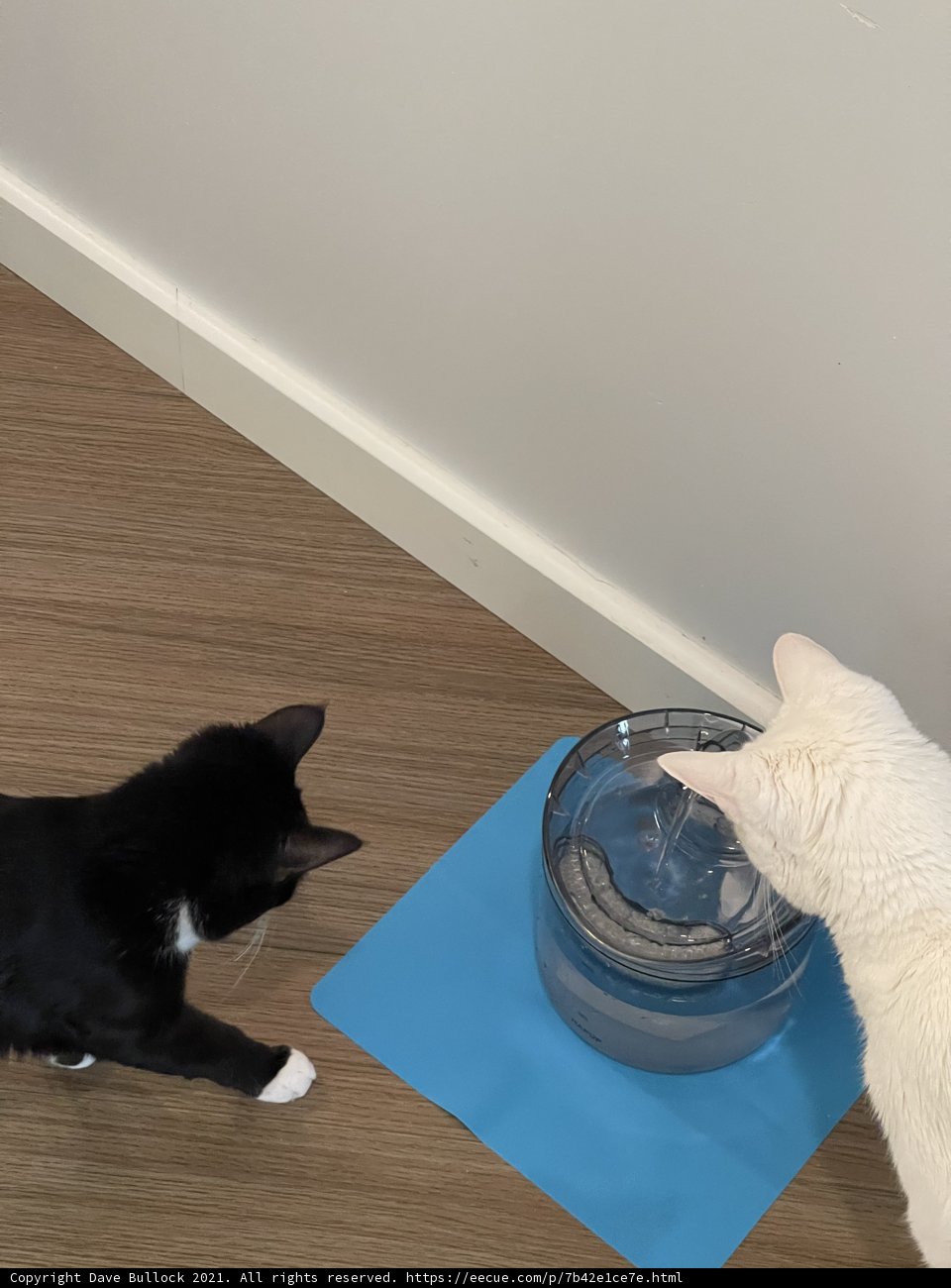 Playtime in the Design Studio