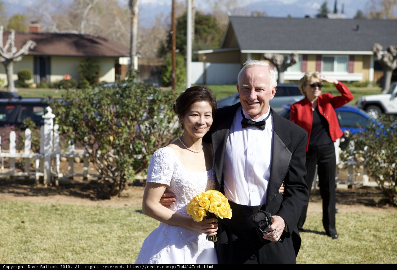 Wedding Bliss
