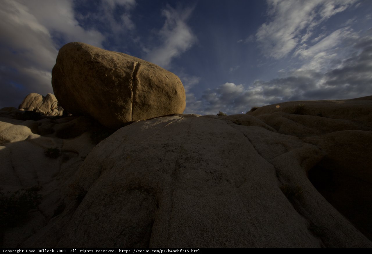 Lone Sentinel in the Desert