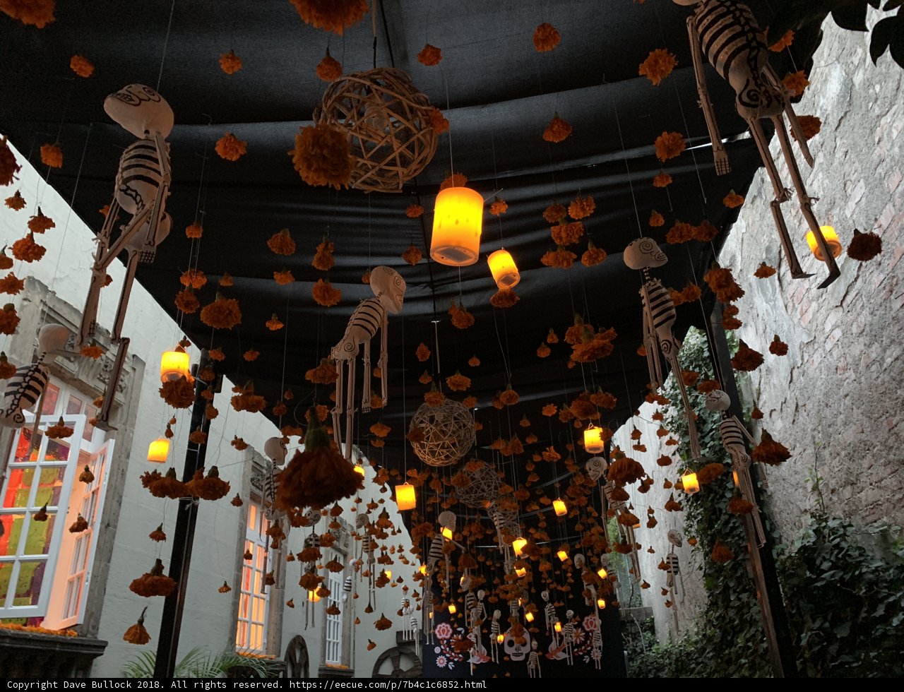 Illuminated Walkway