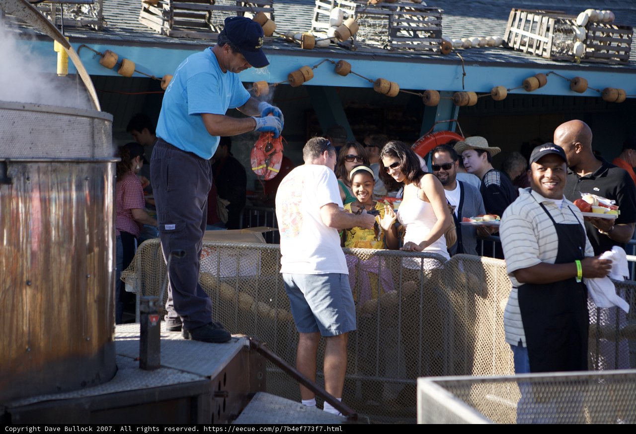 Blue Shirt at Lobster Festival