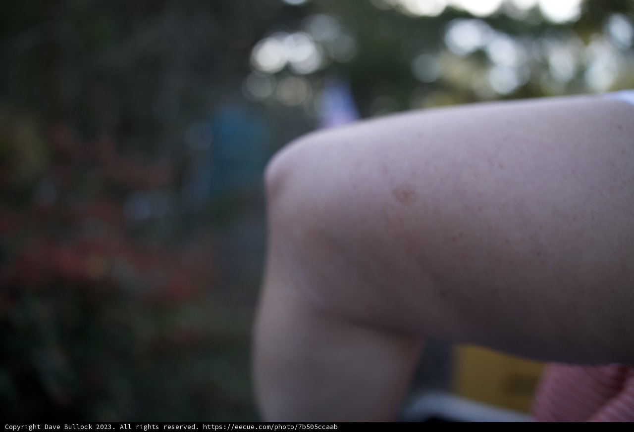 Inked Memories at SF Zoo - November 2023