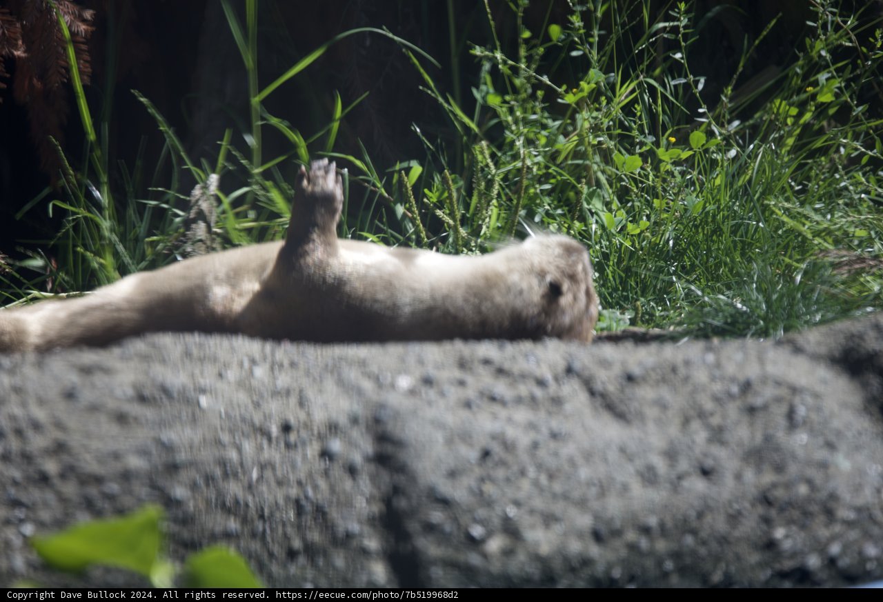 Nature's Hideaway