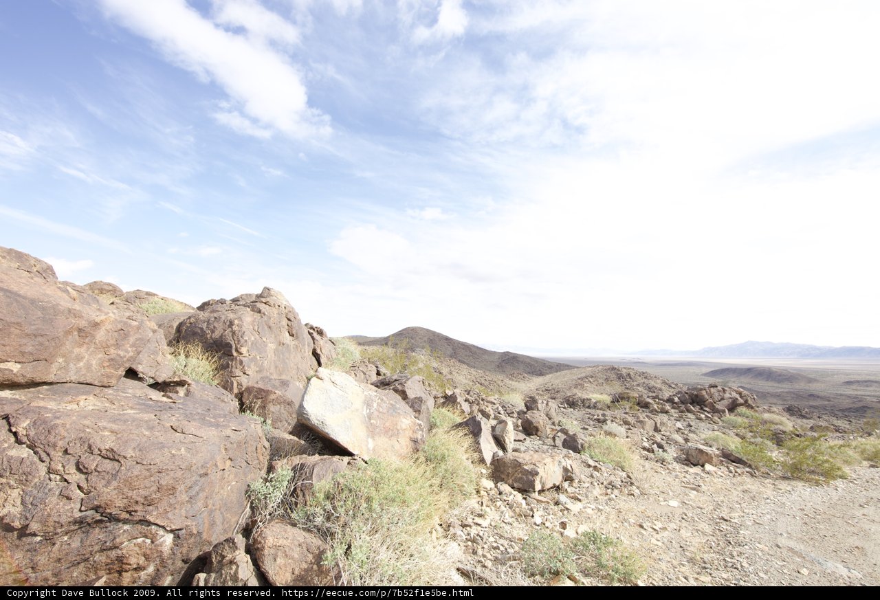 Solitude in the Wilderness