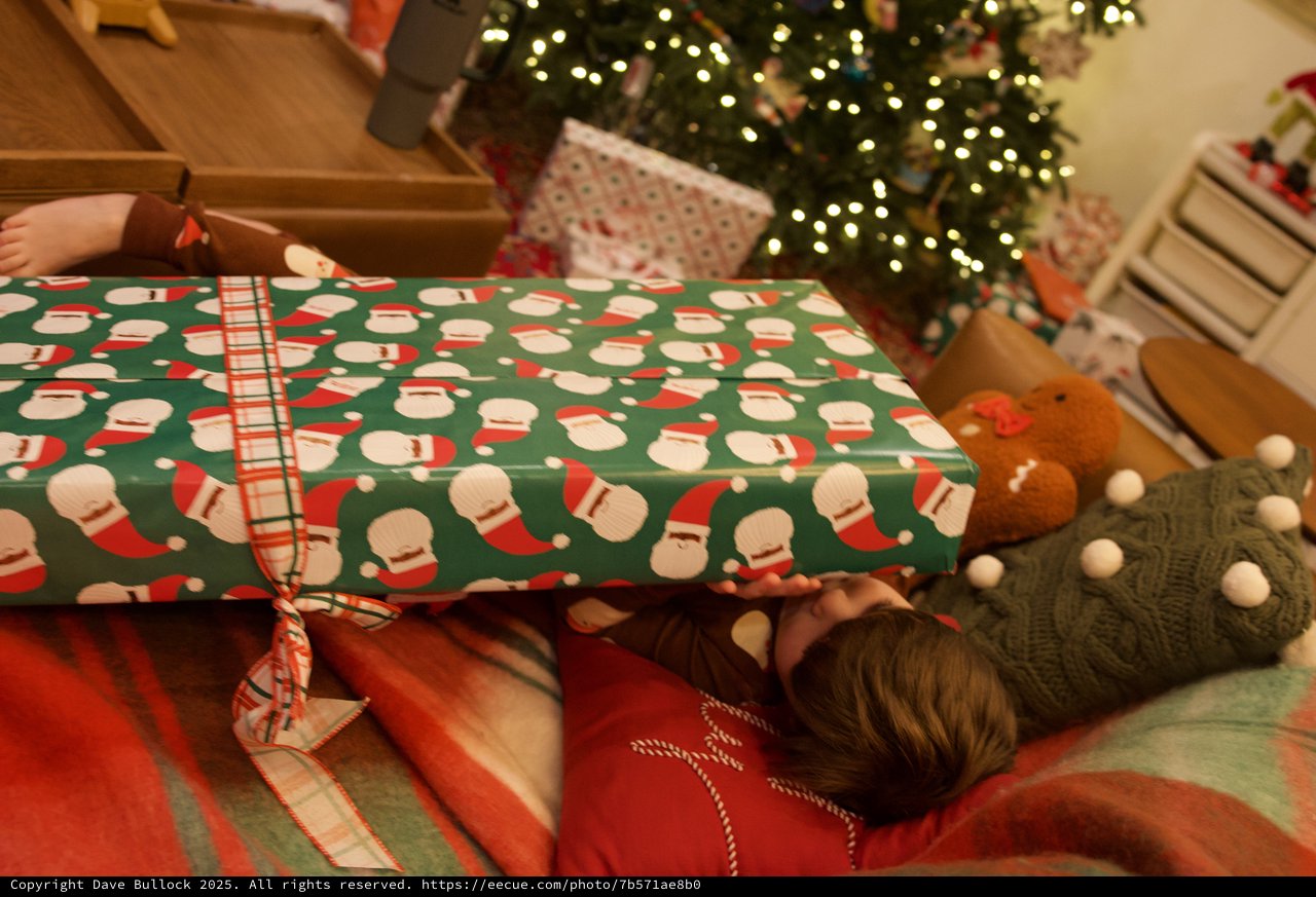 Christmas Morning Gift Opening with Illuminated Tree