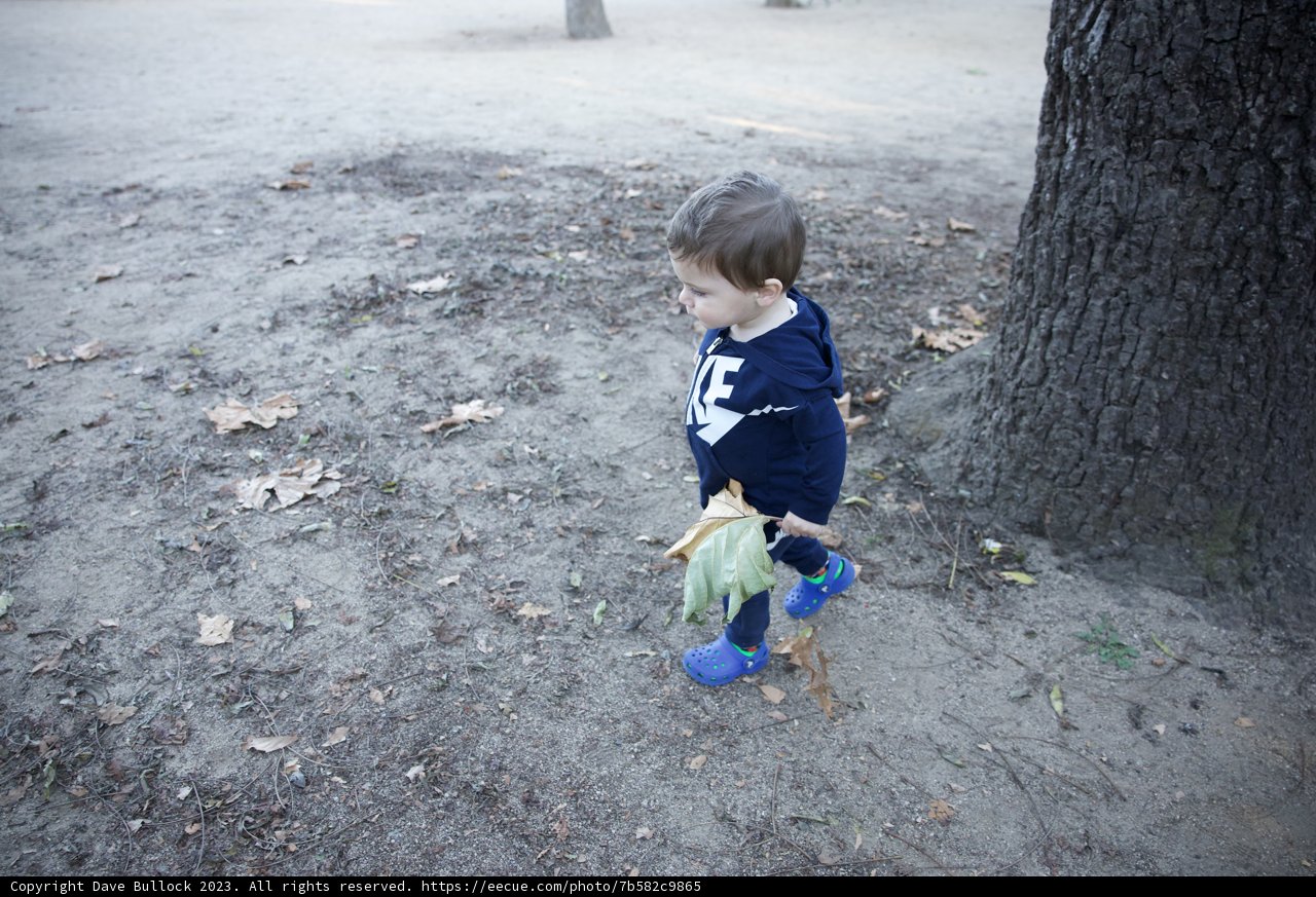Whimsical Portrait, The Boy with a Banana.