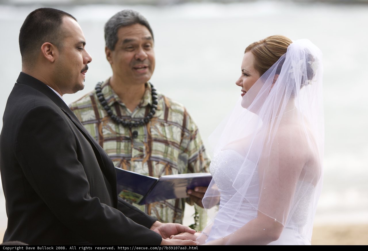 A Hawaiian Beach Wedding