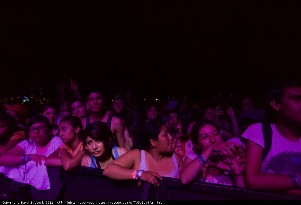 Concert Crowd Captures Moment