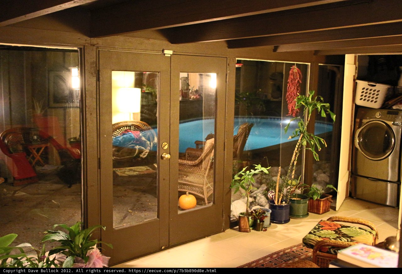 Indoor Oasis