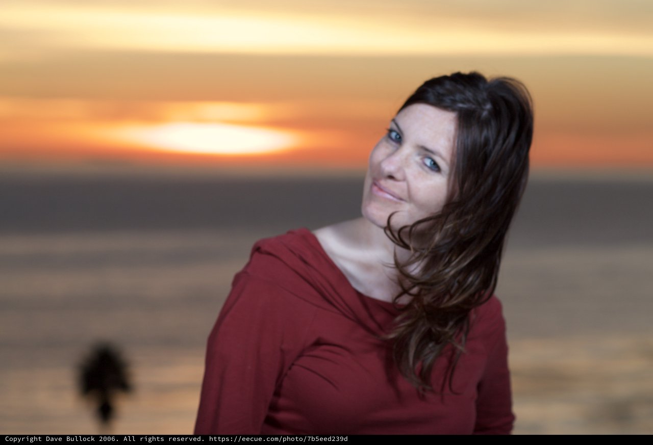 Windswept Beauty at Golden Hour Sunset