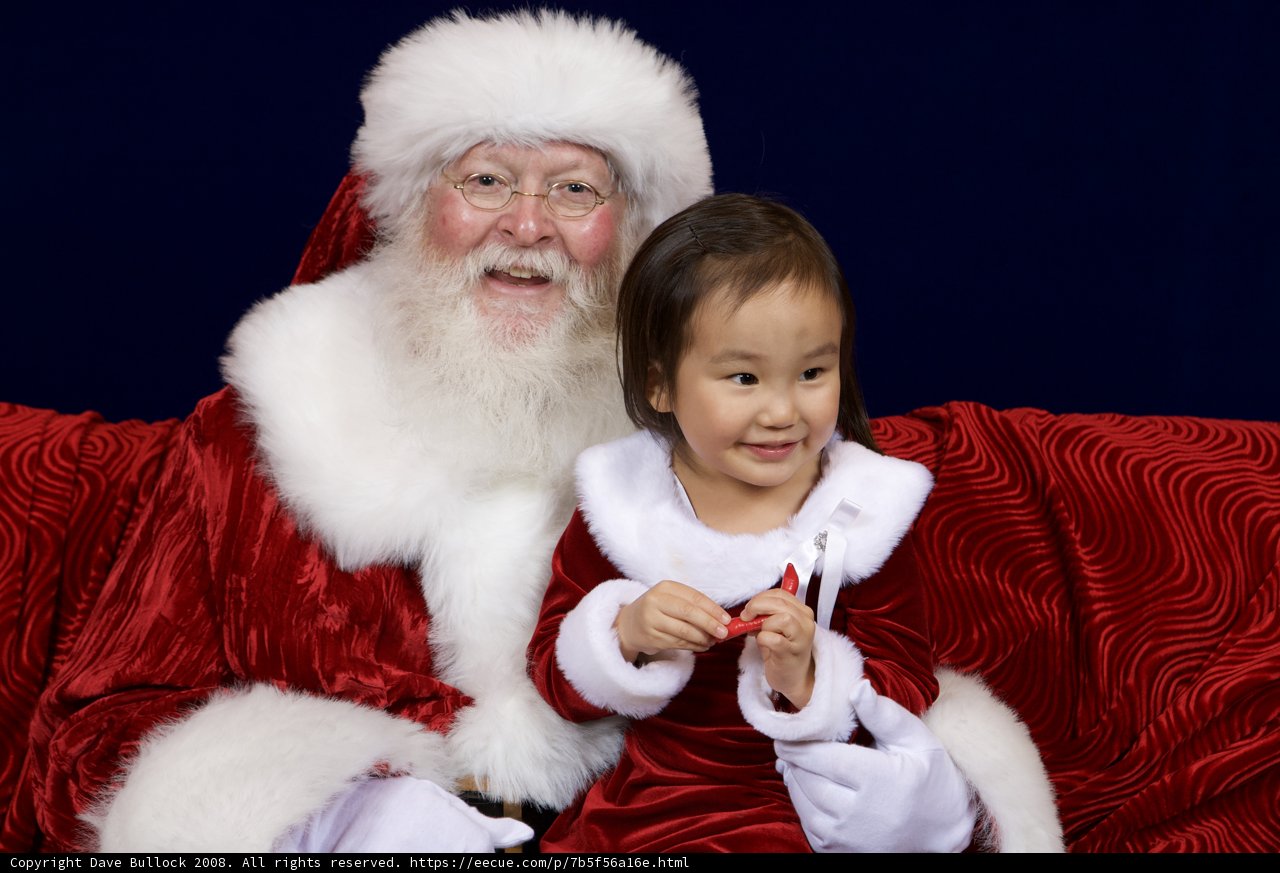 Little girl's holiday wish