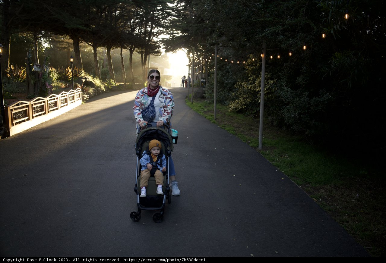 A Stroll in the Park, November at SF Zoo