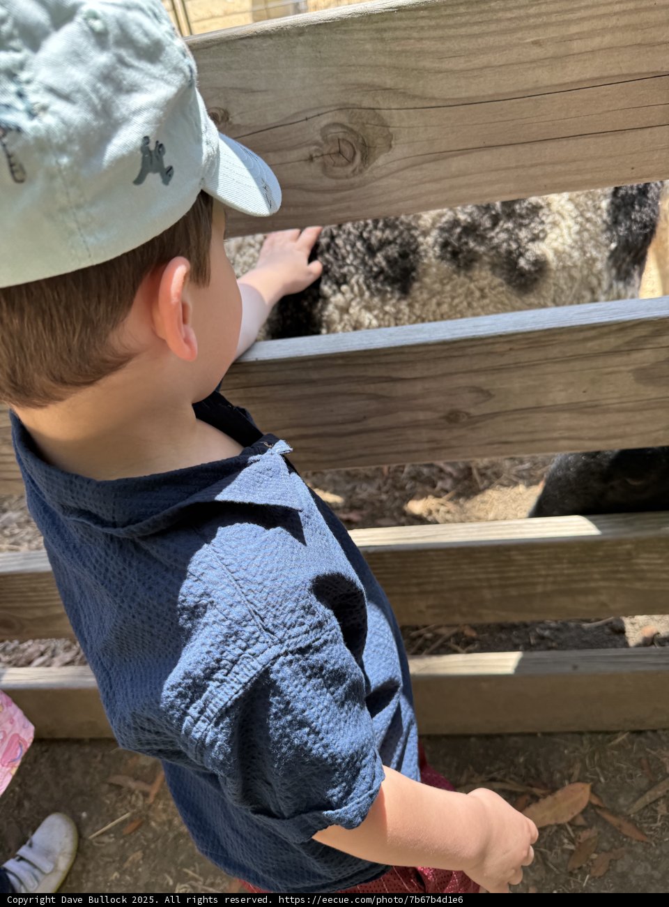 Curious Encounters at Tilden Nature Area