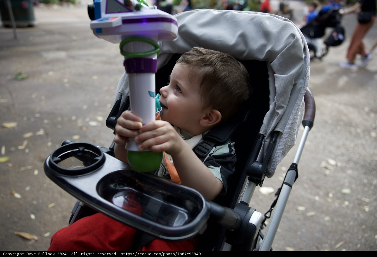 Playtime at Disneyworld Animal Kingdom 2024