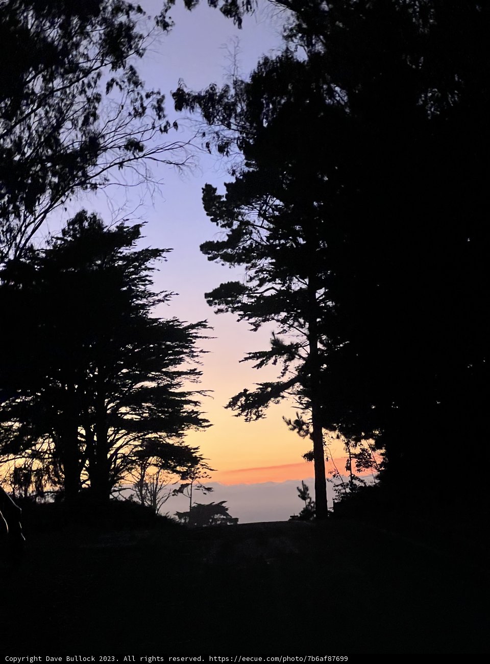Twilight Serenity at Presidio