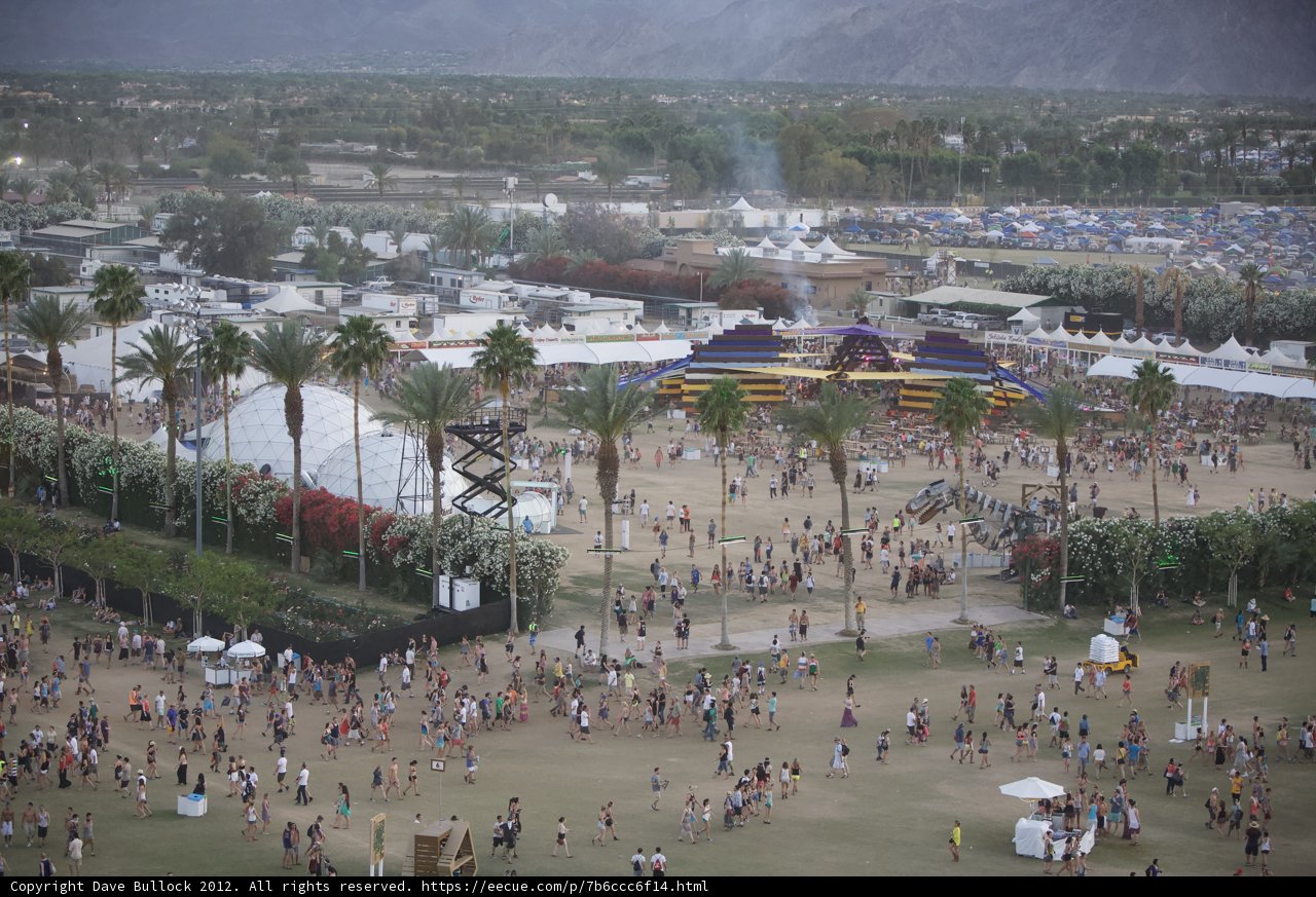 Desert Festival Crowd