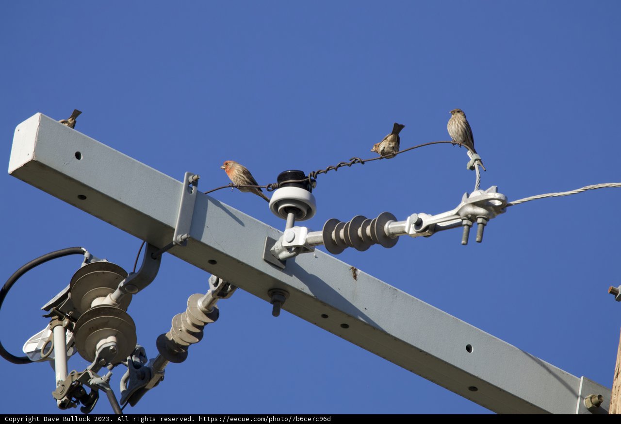 Quartet on a Power Line