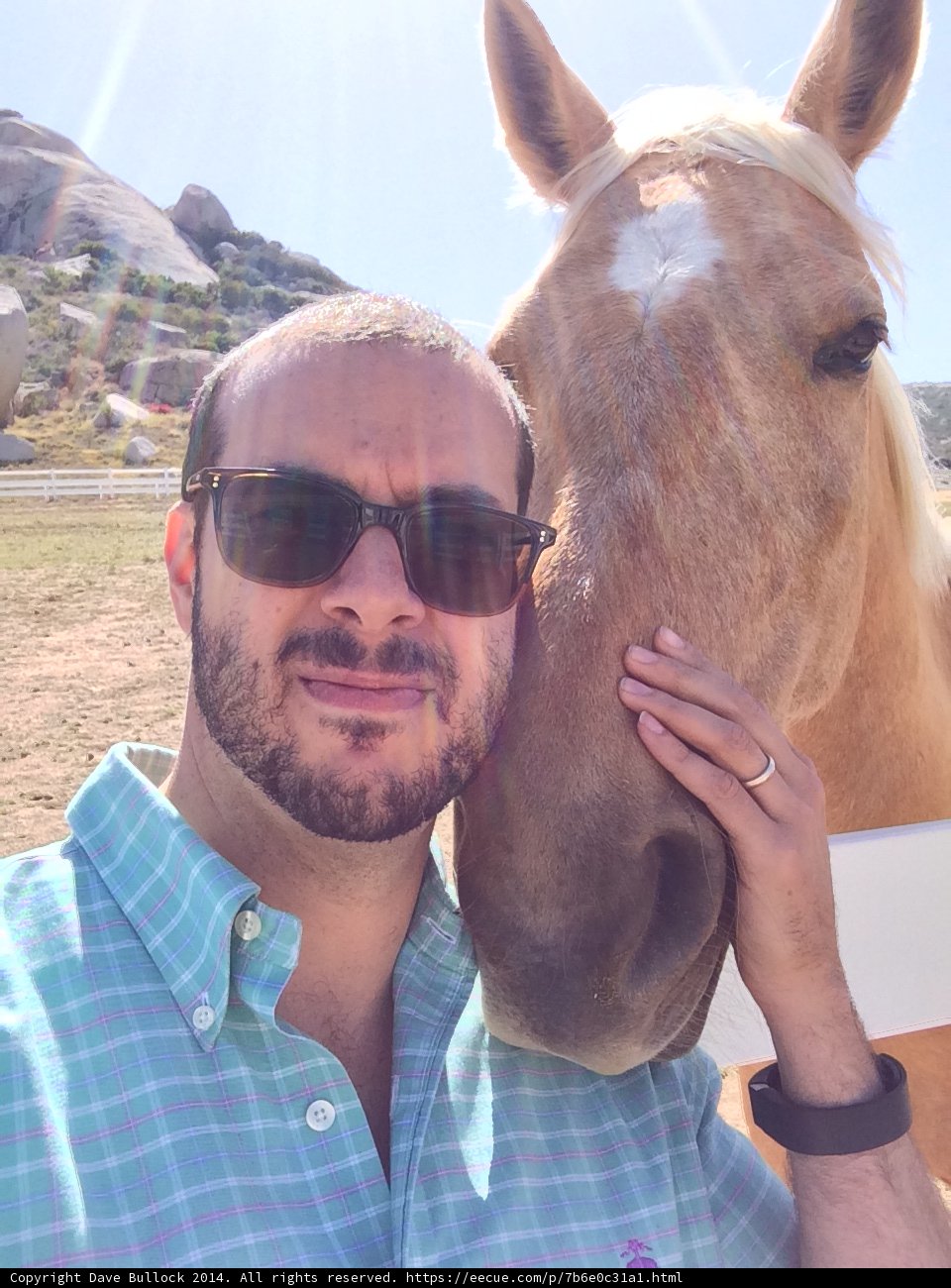 Dave B and His Colt Horse enjoying the Blue Sky