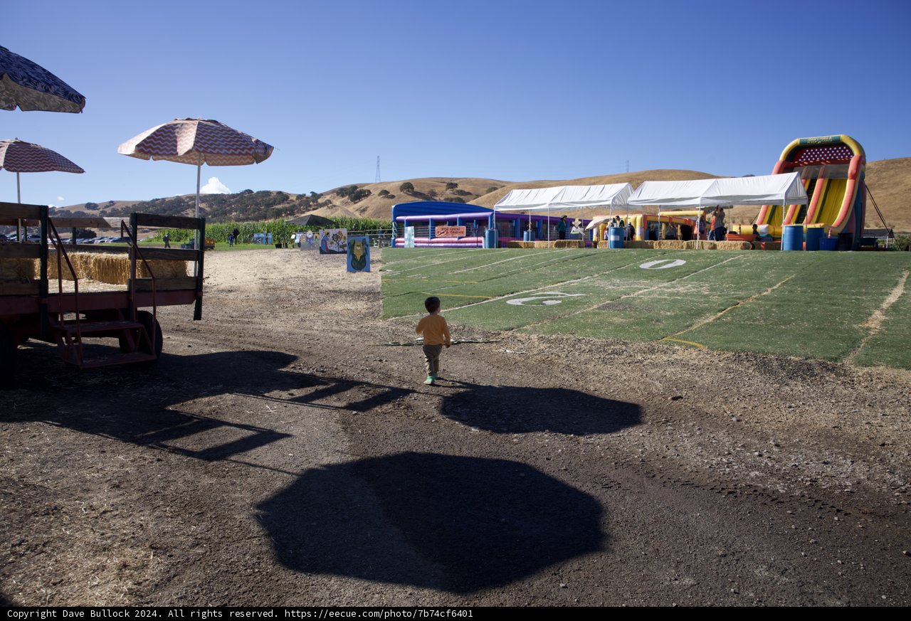 Sunny Day at Walnut Creek Play Area