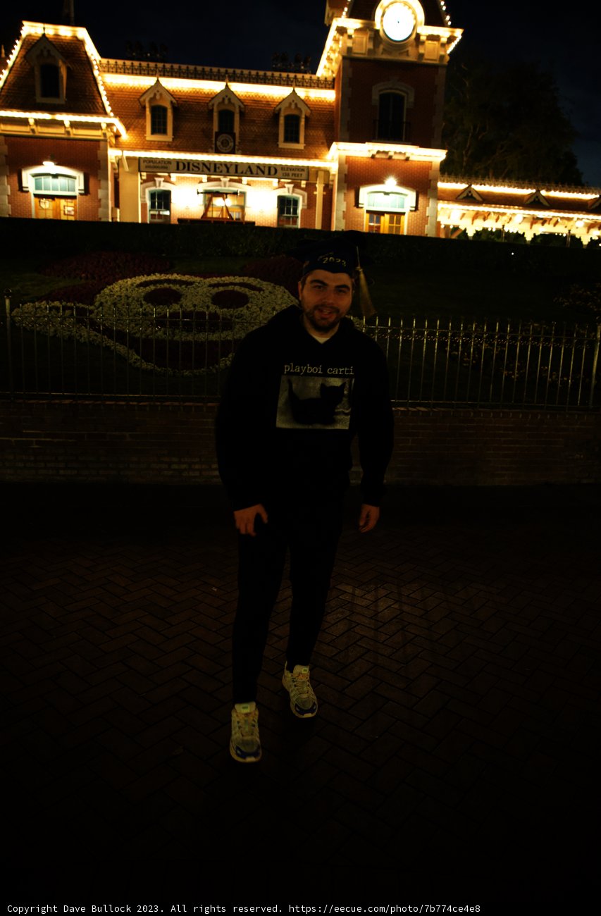 Magical Moments at Disneyland Castle