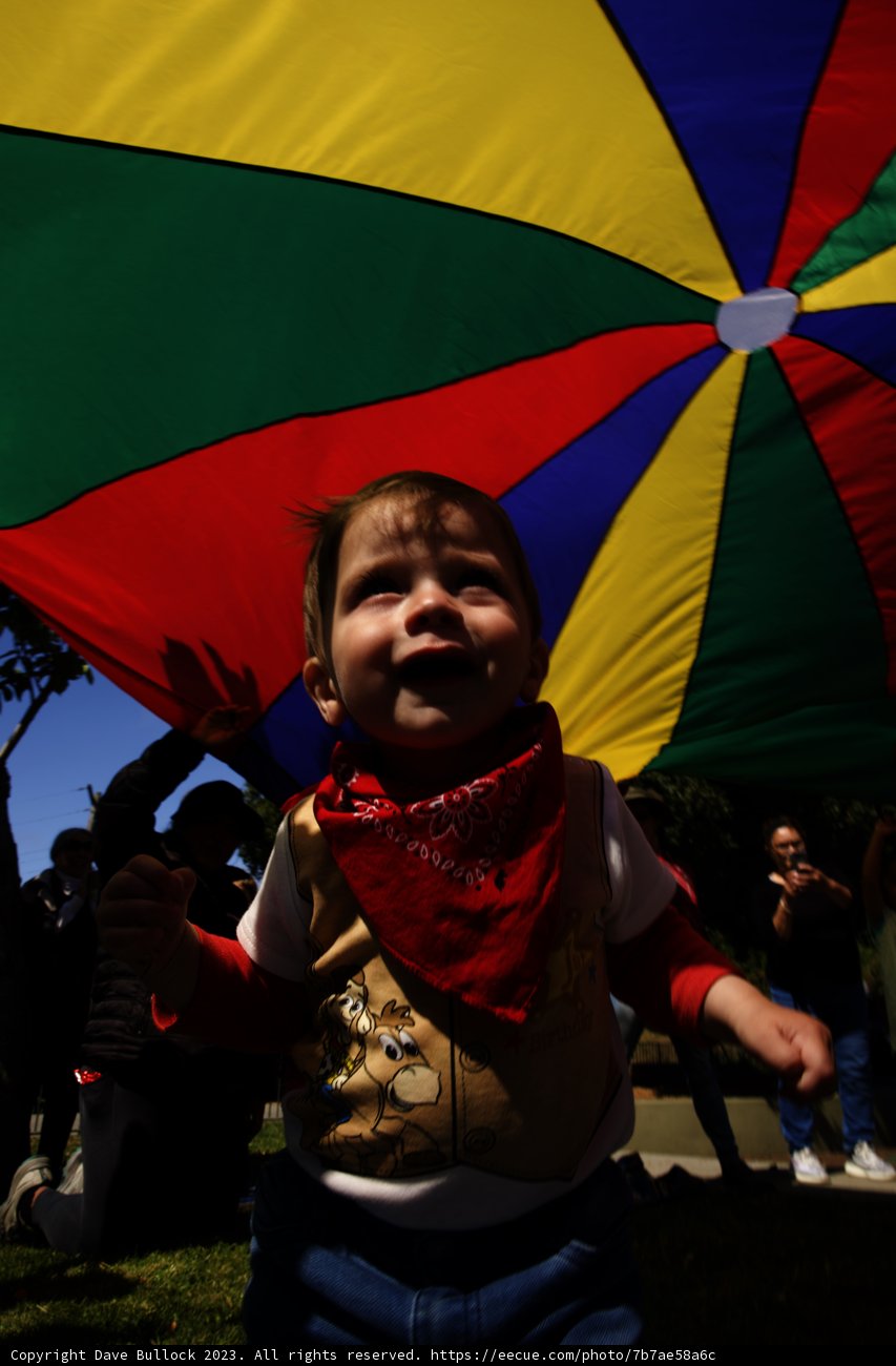First Birthday Freedom: Wesley's Kite Adventure