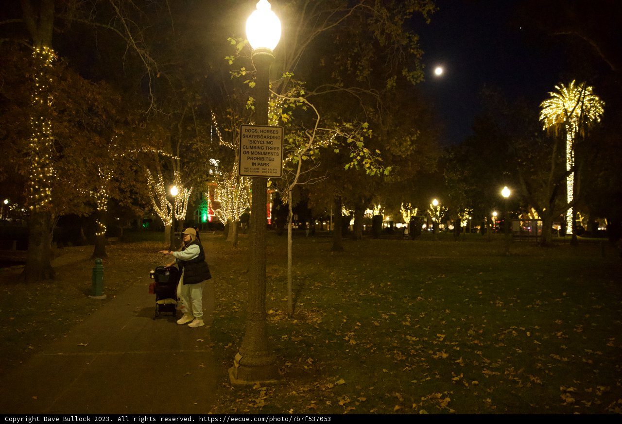 Tranquil Night Stroll in Downtown Sonoma