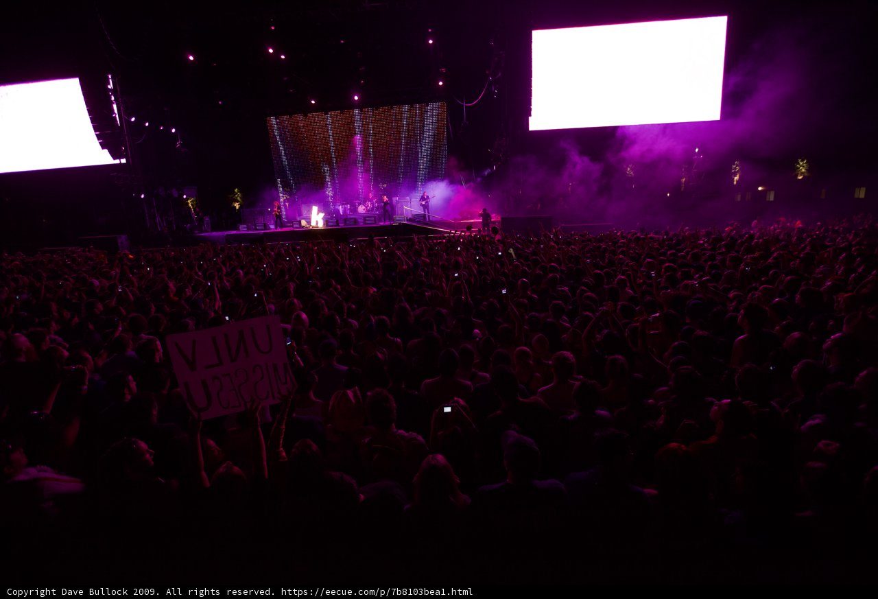 Purple Haze at Coachella